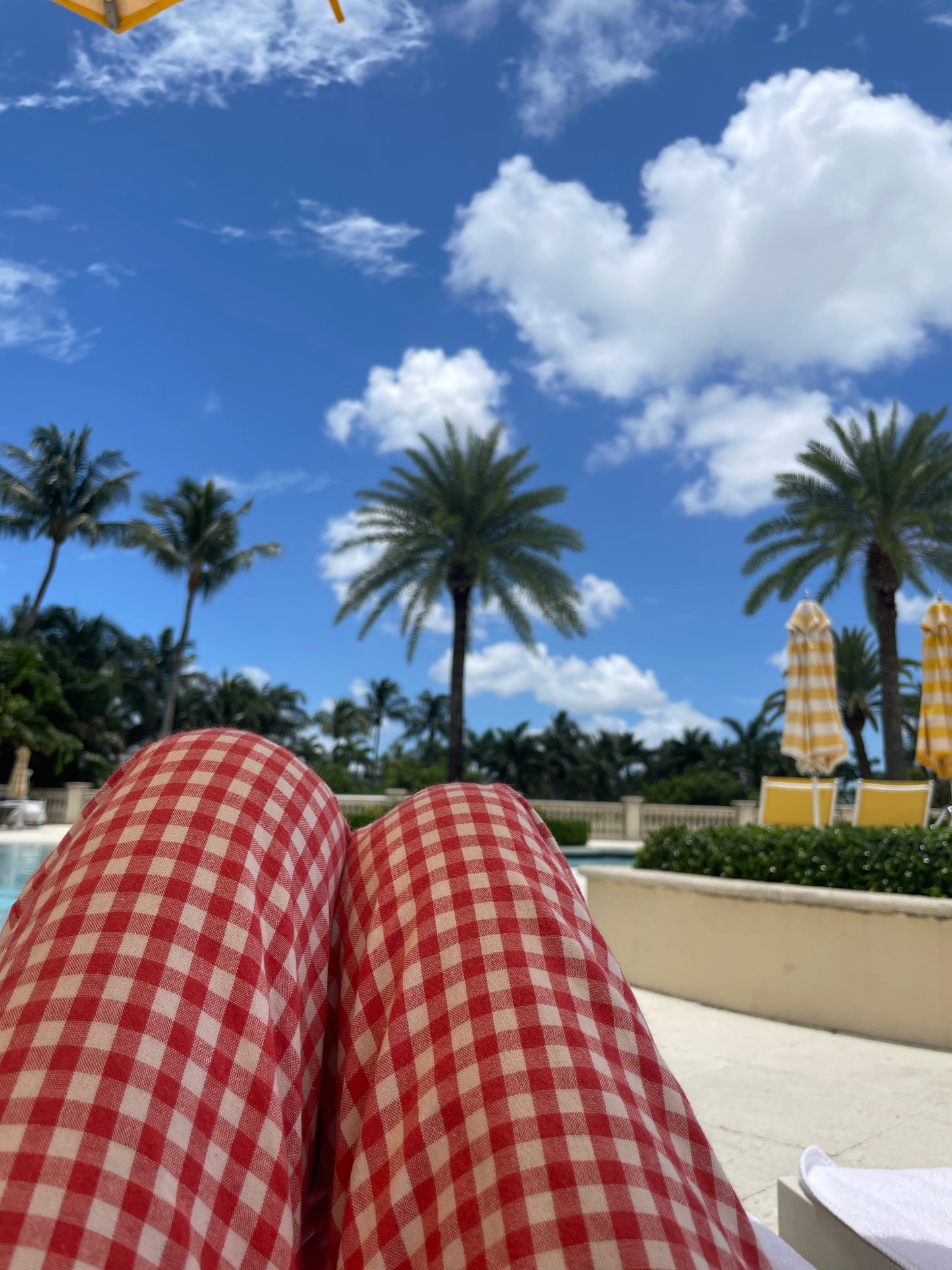 Red Gingham Pajama Pant